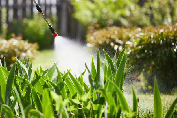 Tamper-Resistant Bait Stations for Rodents in Warwick
