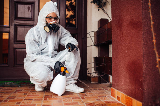 Attic and Crawl Space Rodent Treatment in Warwick
