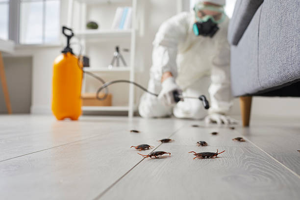 Commercial Rodent Management in Warwick